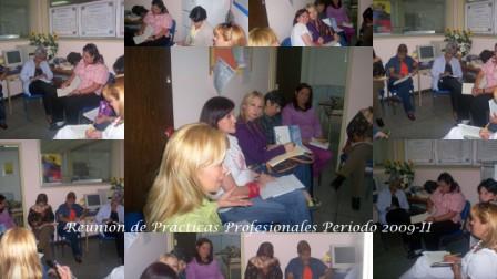 Reunión de Prácticas Profesionales 2009-II